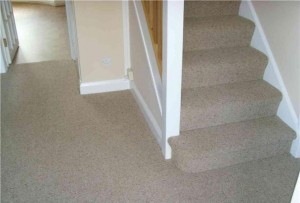 Carpet to stairs and hallway